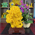 BẠCH THÁI TÀI LỘC